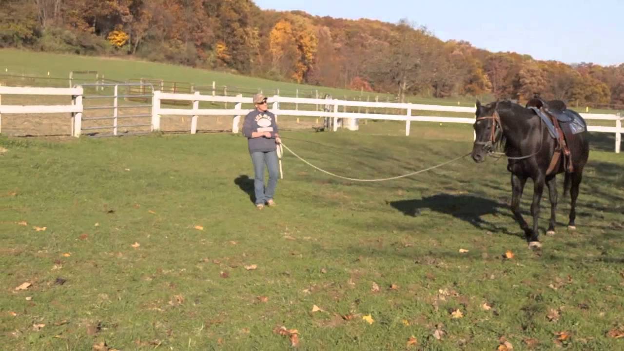 Serrina in training 10-21-2012