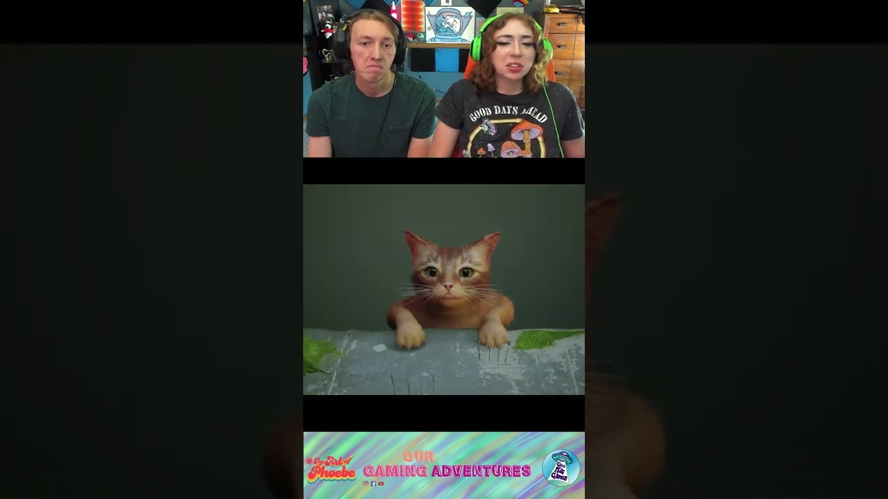 ВОТ КАК НАЧАЛСЯ STRAY?!? 🙀 МУЖ И ЖЕНА РЕАКЦИЯ НА ПРЕДСТАВЛЕНИЕ STRAY 🙀