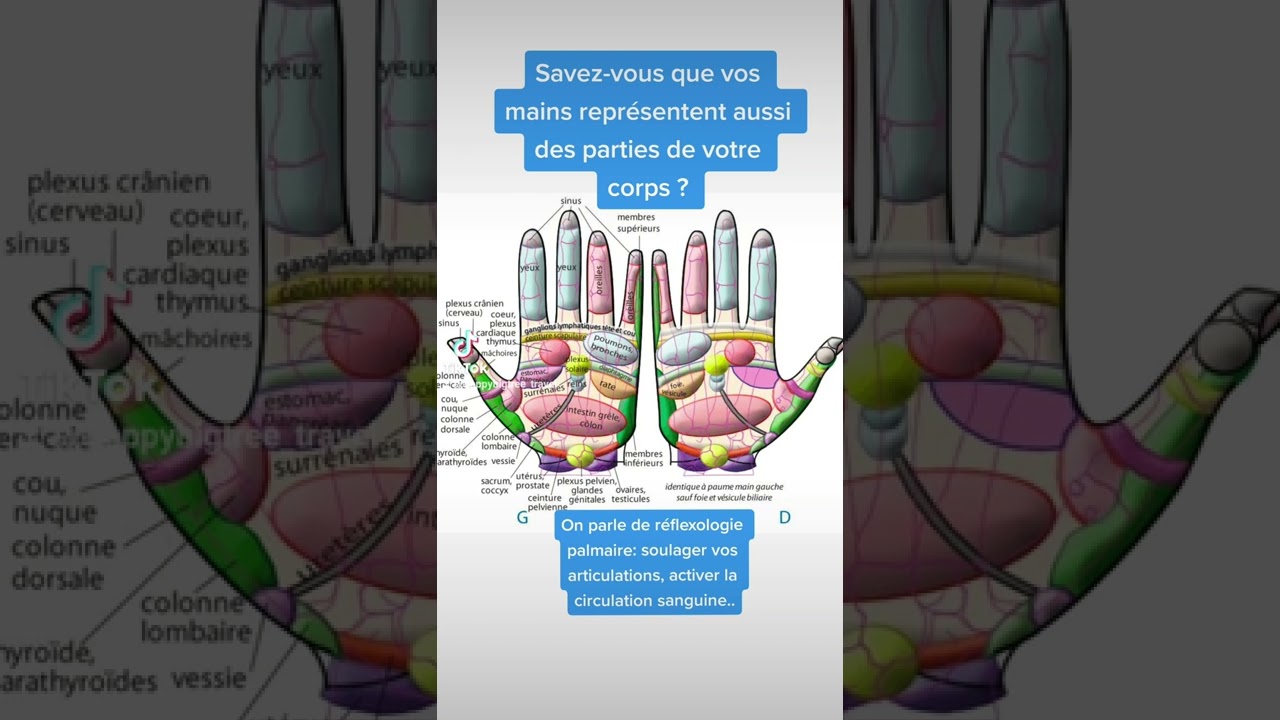 ✋💎💪#reflexologie #palmaire #recommanded #naturopathy