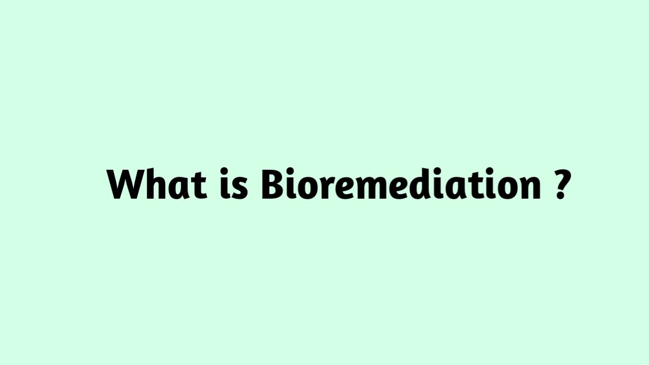 What is Bioremediation ?
