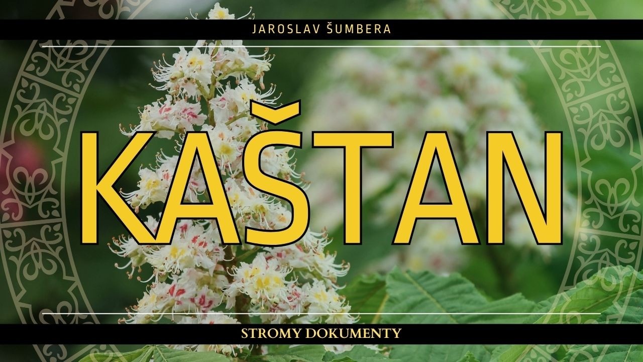 J&Iacute;ROVEC MAĎAL - S&iacute;la a bohatstv&iacute; Jupitera | Biologie, l&eacute;čitelstv&iacute;, mytologie