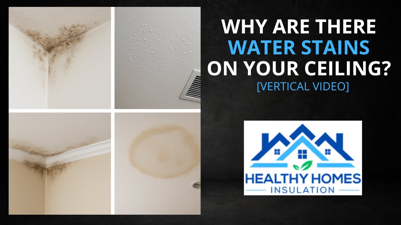 Why Are There Water Stains on Your Ceiling? (Vertical Video)