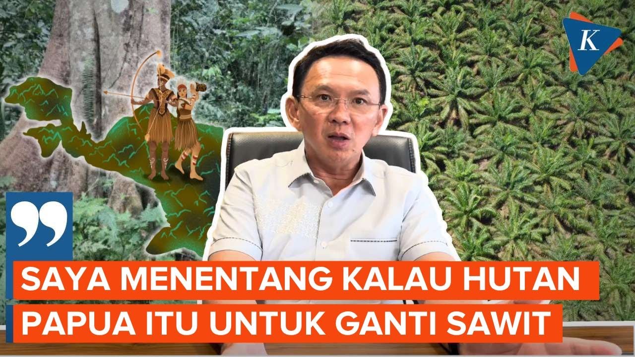 Ahok Tolak Hutan Papua Ditanami Sawit tapi Tawarkan Solusi, Apa Itu?