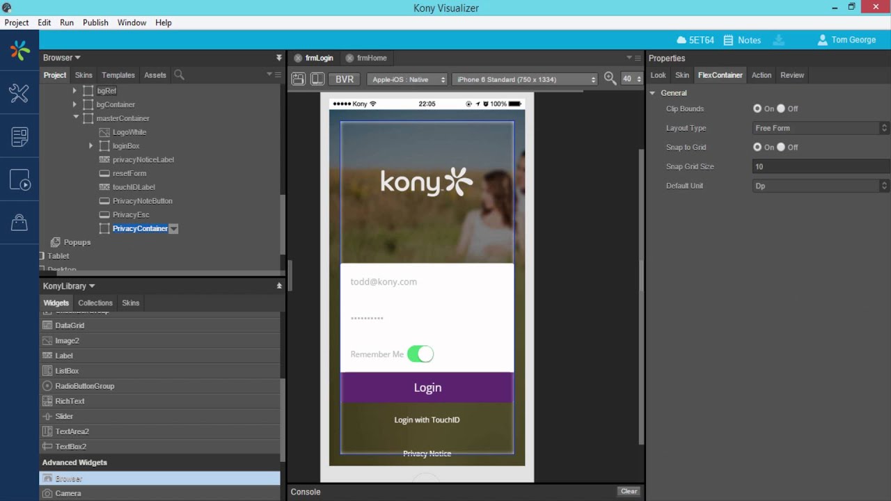 Browser Widget