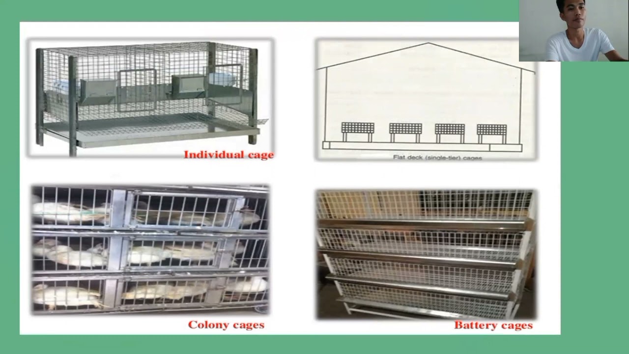 Different Types of Poultry Housing System for Tropical Climate