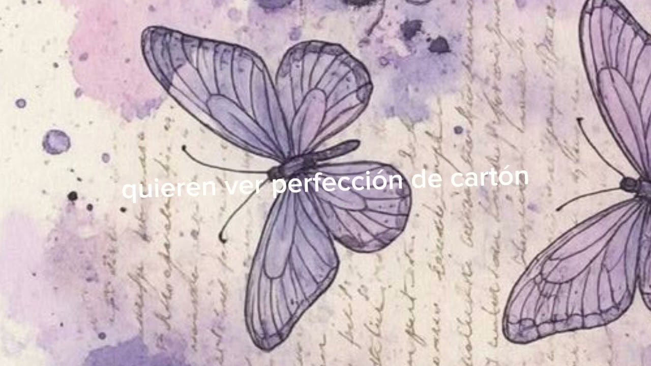 Perfección de cartón 