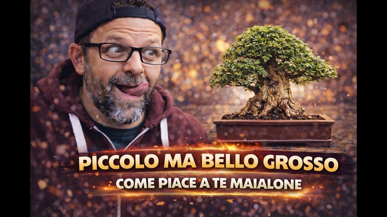 PICCOLO MA BELLO GROSSO COME PIACE A TE MAIALONE