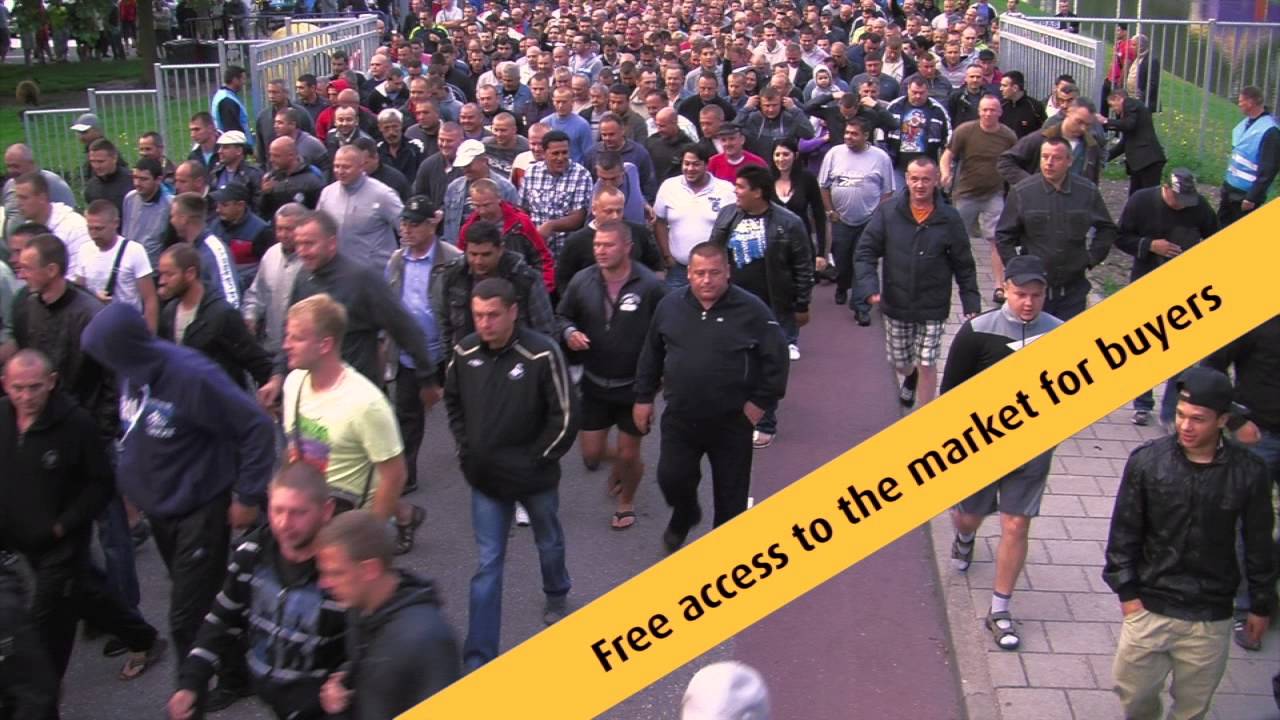 Automarkt Nederland, Europe's number one!