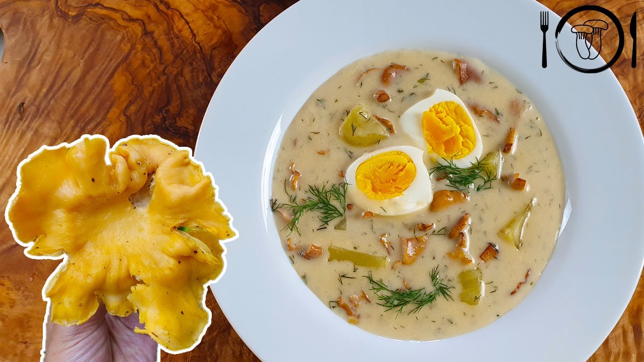 Nejlepší kulajda z Lišky obecné. Kulajda s liškou recept.