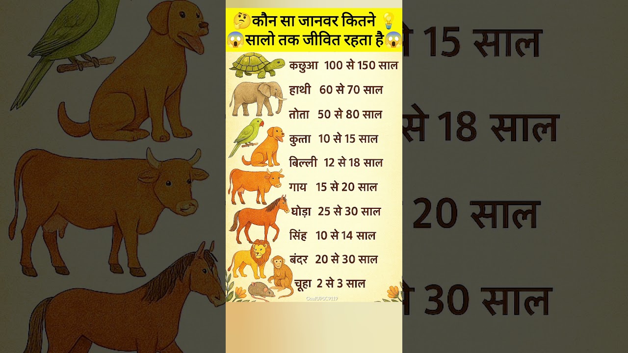 Life Span of Animals | Average Lifespan of 10 Animals | Educational Video in Hindi
