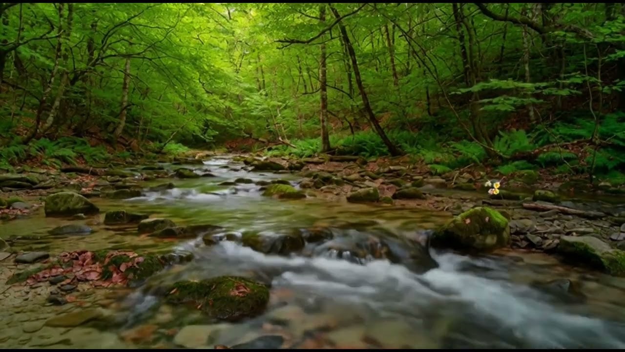 FINALLY Relax: 3 HR Deep Healing Music Mix That MELTS Stress & Anxiety 🎧 Instant Sleep & Focus.