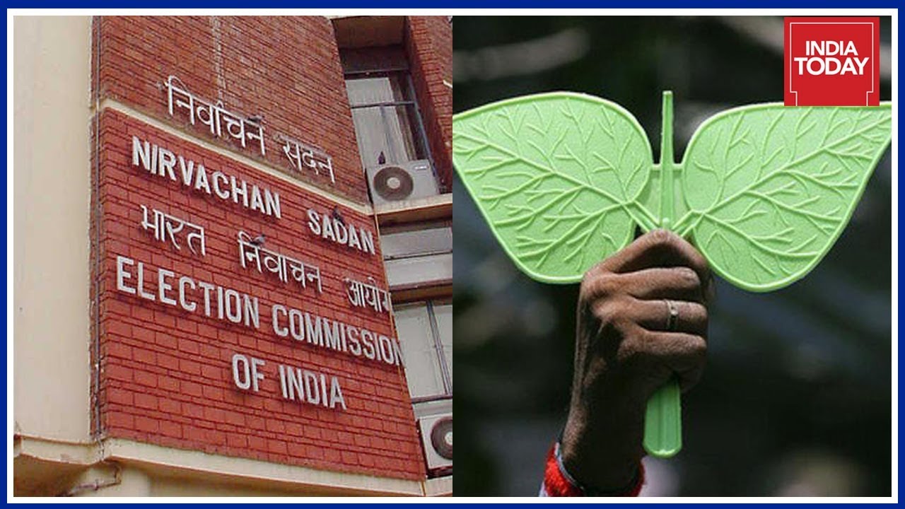 Election Commission To Hear AIADMK Two Leaves Symbol Case