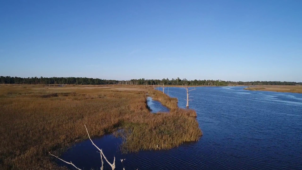 Deep Water, Maurecina Plantation, History, Lifestyle, 21 Redfin Loop Georgetown Sc  29440