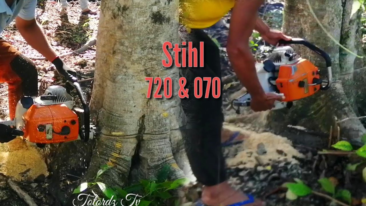 Amazing Powersaws||STIHL MS720 and 070 Chainsaw in Action