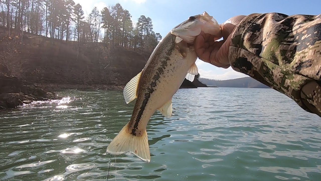 Winter fishing Clearwater lake! (Piedmont, Missouri)