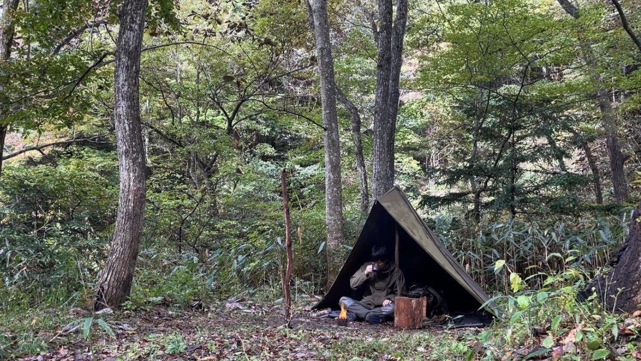 [Solo Camp] Overnight stay in the acorn forest. Bushcraft Polish Lavvu