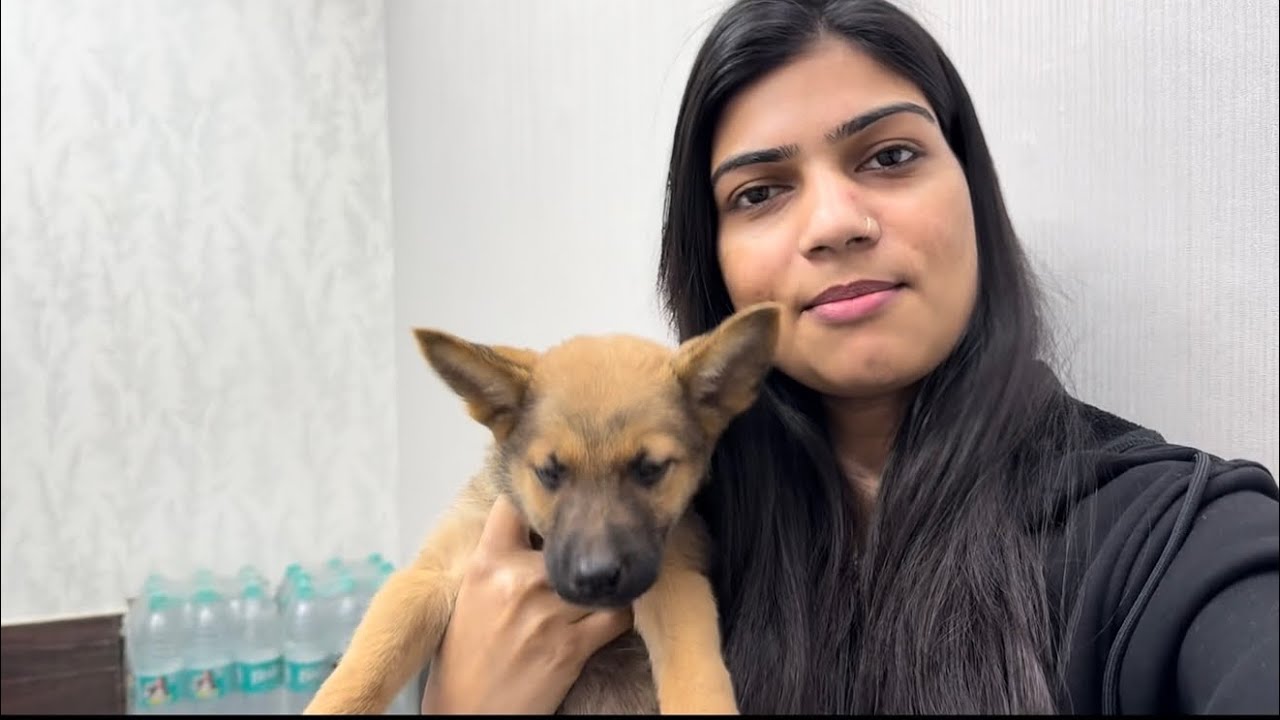 @SanjanaYaduvanshi #dailyvlogs #lifestyle #shoot #like #like #share #subscribe #followforfollowback 
