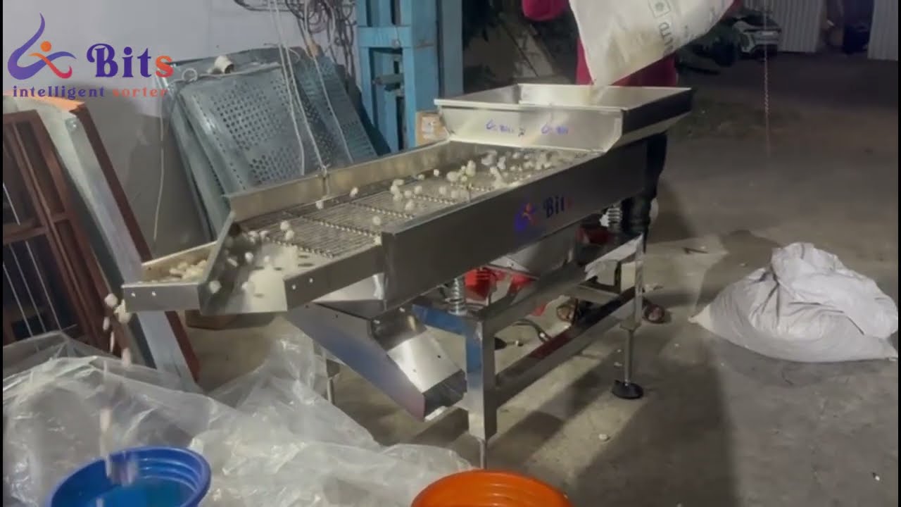 CIPTA Grading Machine | BITS Intelligent Sorter for Makhana 🌿⚡ Call +91 8248461039