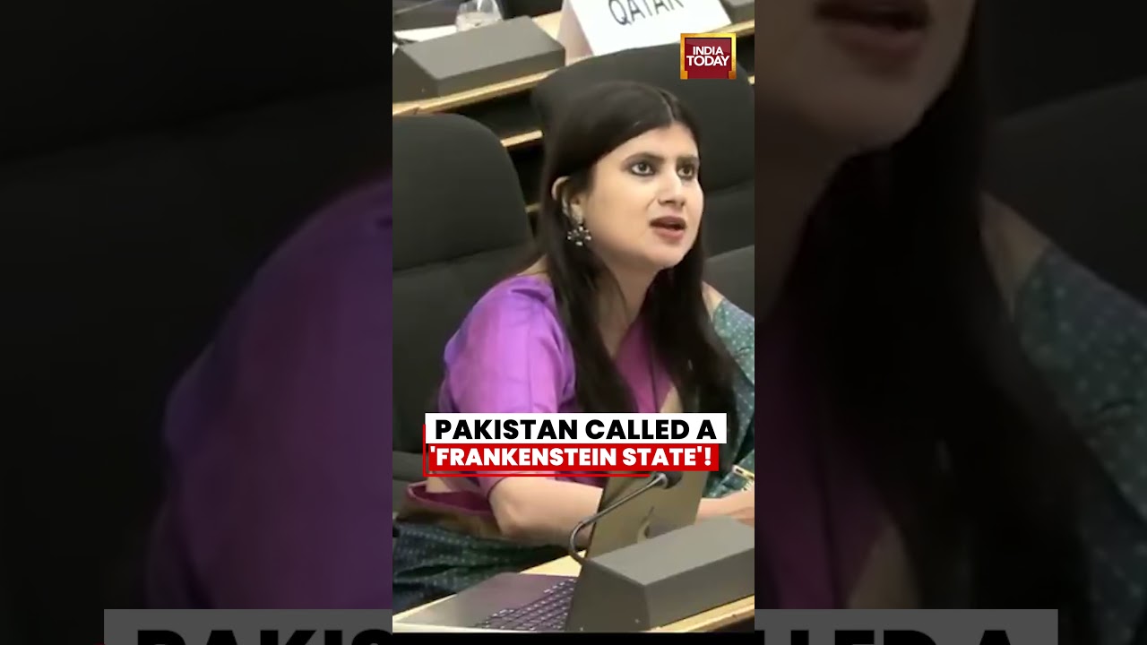 India Accuses Pakistan of Supporting Terrorism #un #pakistan #anupamasingh
