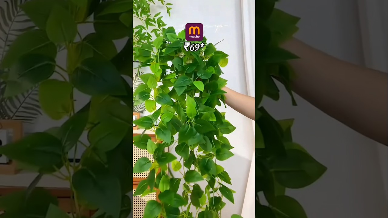 Artificial plants under ₹200 from Meesho🌿🪷🪴 #meesho #affordablefinds #youtubeshorts