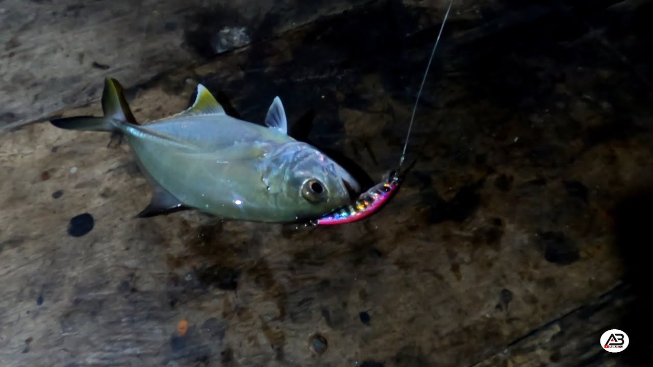 Umpan paling ampuh saat casting malam hari || di jamin strike terus