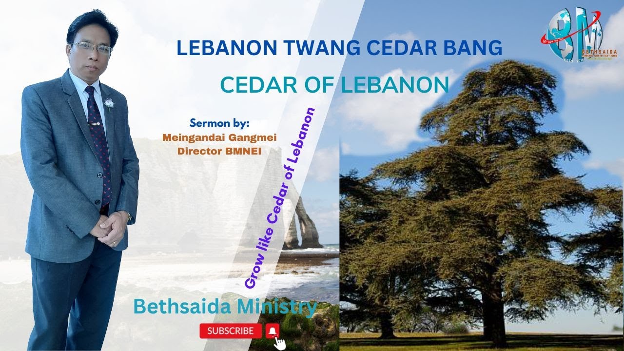 Cedar of Lebanon.(Lebanon twang Cedar) Meingandai Gangmei; Director BMNEI.