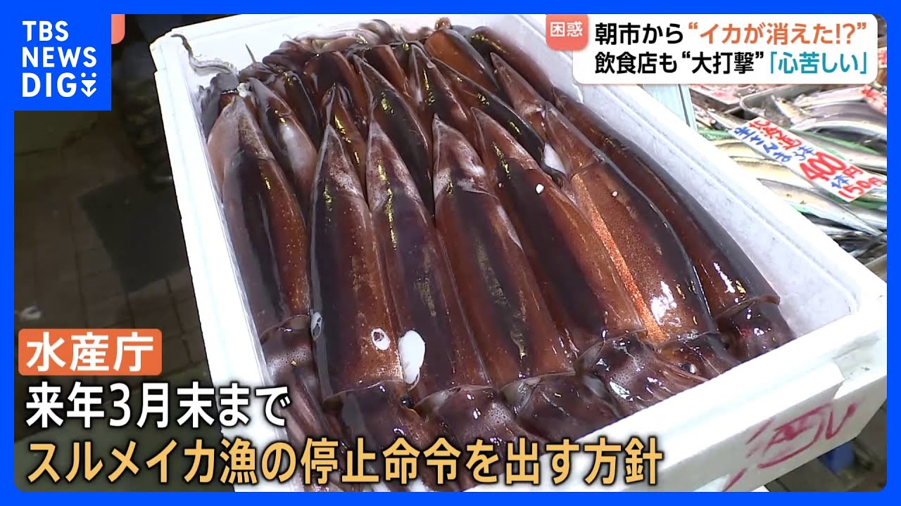 &ldquo;庶民の味&rdquo;スルメイカがとれすぎて&hellip;&ldquo;イカの街&rdquo;北海道・函館市から消えた！名物のイカ釣り堀は休業に　飲食店では代わりに&ldquo;イカの王様&rdquo;アオリイカが登場！｜TBS&nbsp;NEWS&nbsp;DIG