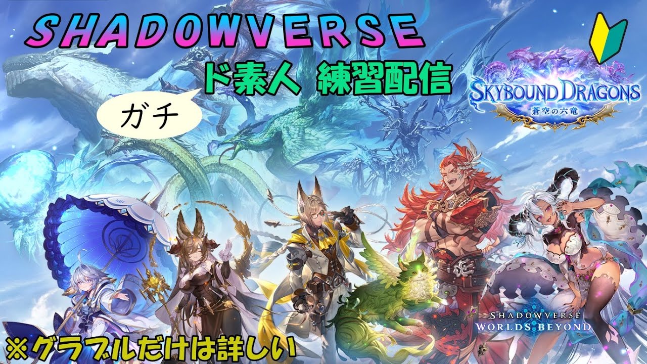 【シャドバ】2pickグランプリ Bグループ チケット消化する【※ガチ初心者】