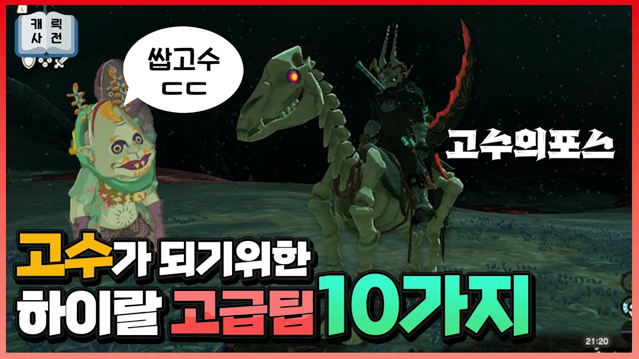 하이랄 고수(?)가 되기 위한 스포없는 핵심 고급팁 10가지, 당신은 얼마나 알고 있나요?  [왕국의 눈물]