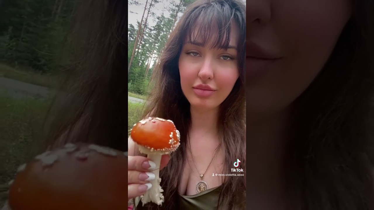Trying amanita for the first time 🍄🌲🏕️ #mushroom #crazy #funnyvideos #amanitamuscaria #norway