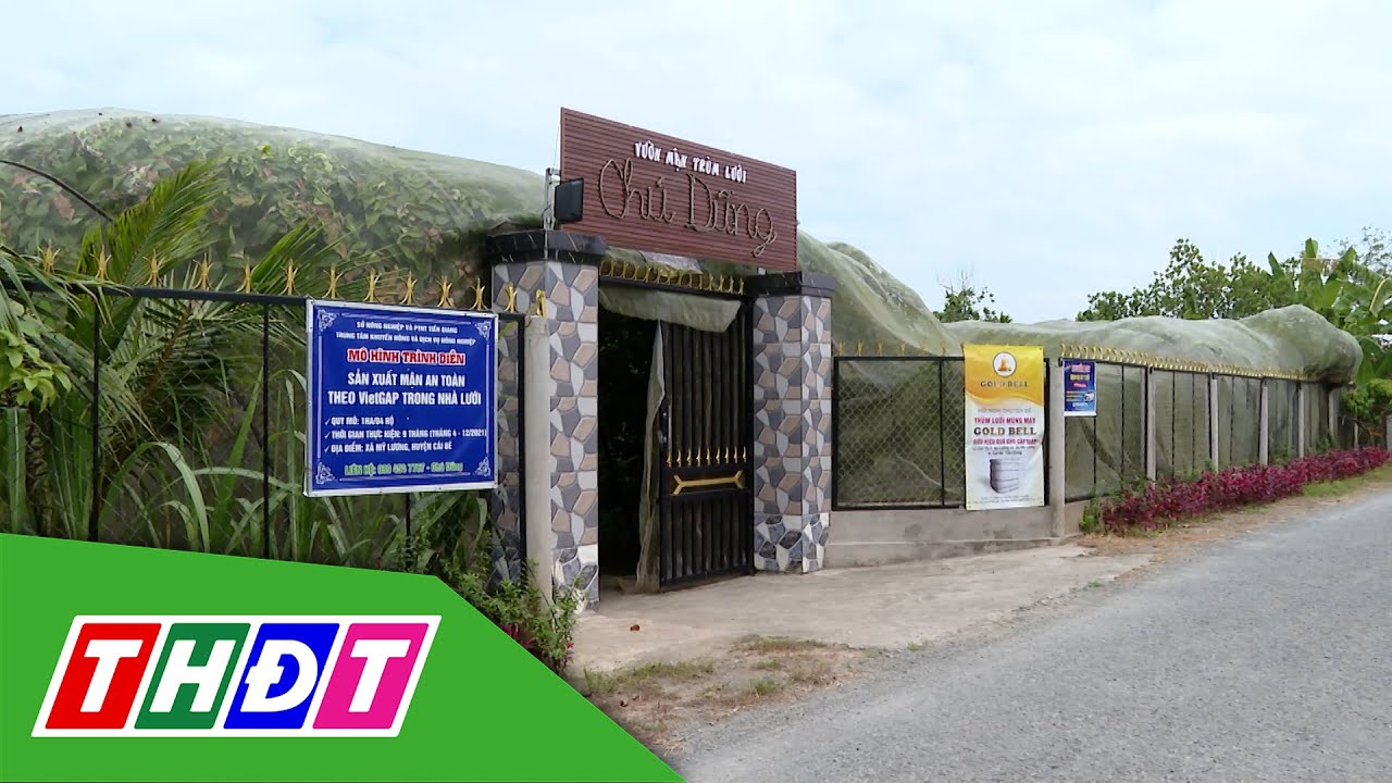 Mận "ngủ mùng" chuyển đổi tư duy, nâng cao giá trị nông sản | Nông thôn ngày nay - 15/12/2025 | THDT