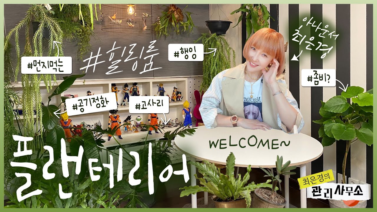 [ENG] 싱그러운 집을 만드는 최은경의 식물 인테리어 🌱식물들이 사는 방 #힐링룸