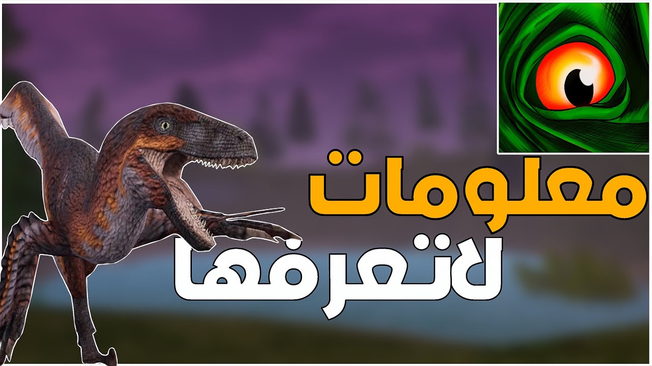 6 معلومات او اخطاء او ثغرات تجعلك من مستوى عالي من الاحتراف @thecursedisle 🤡🤠