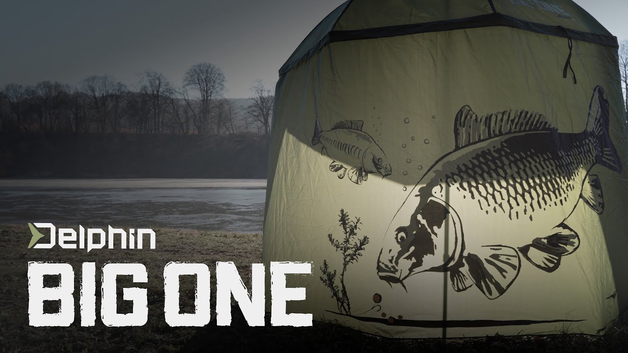 Delphin BigONE CARP