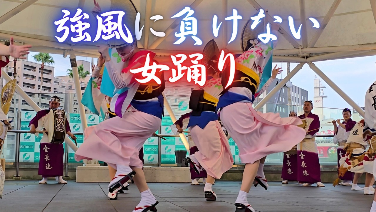 強風に負けない女踊り💗 アミコドームの試練2025👿【徳島市阿波おどり】 Awa Odori