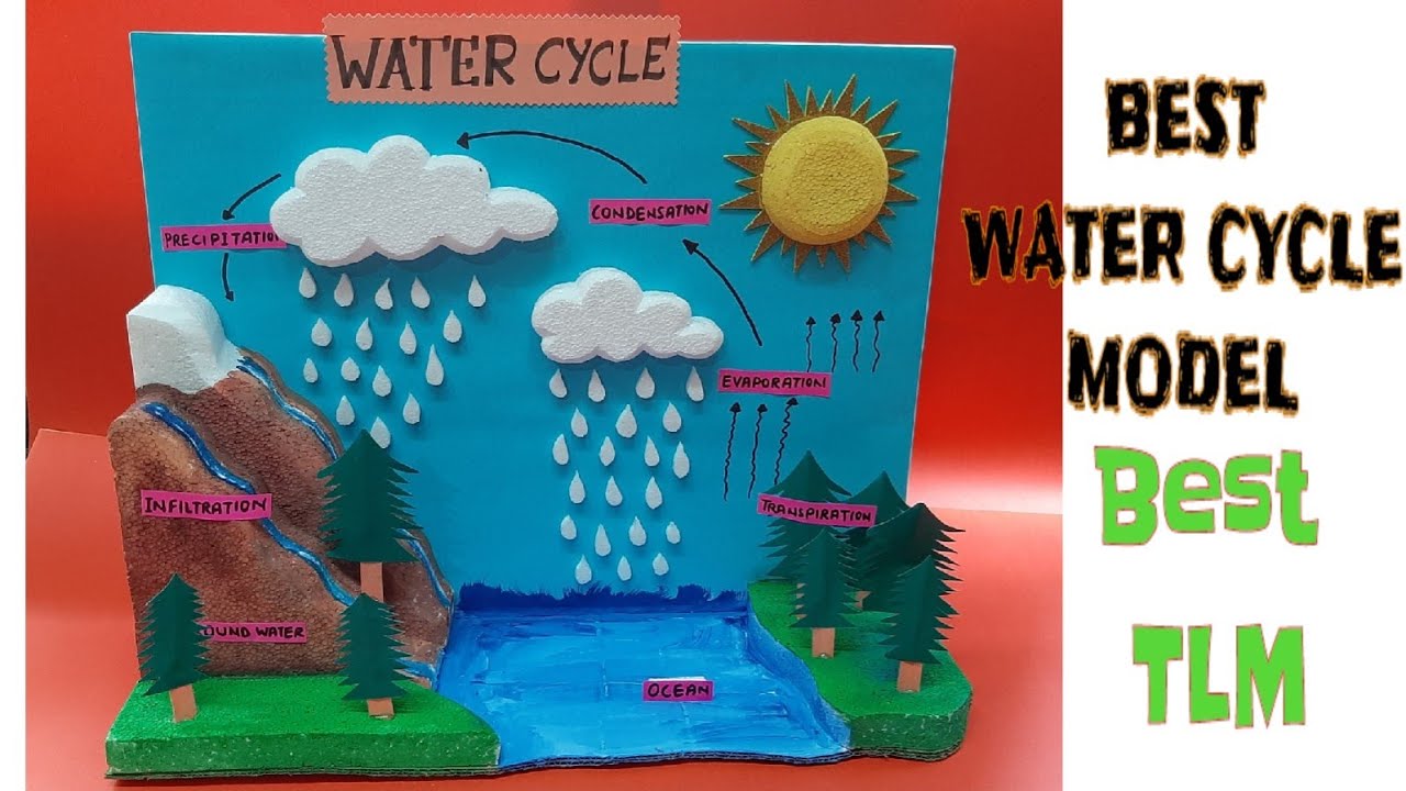 diy watercycle model 3d @standardprojectbydeepak #watercycle #water #tlm #tlmideas