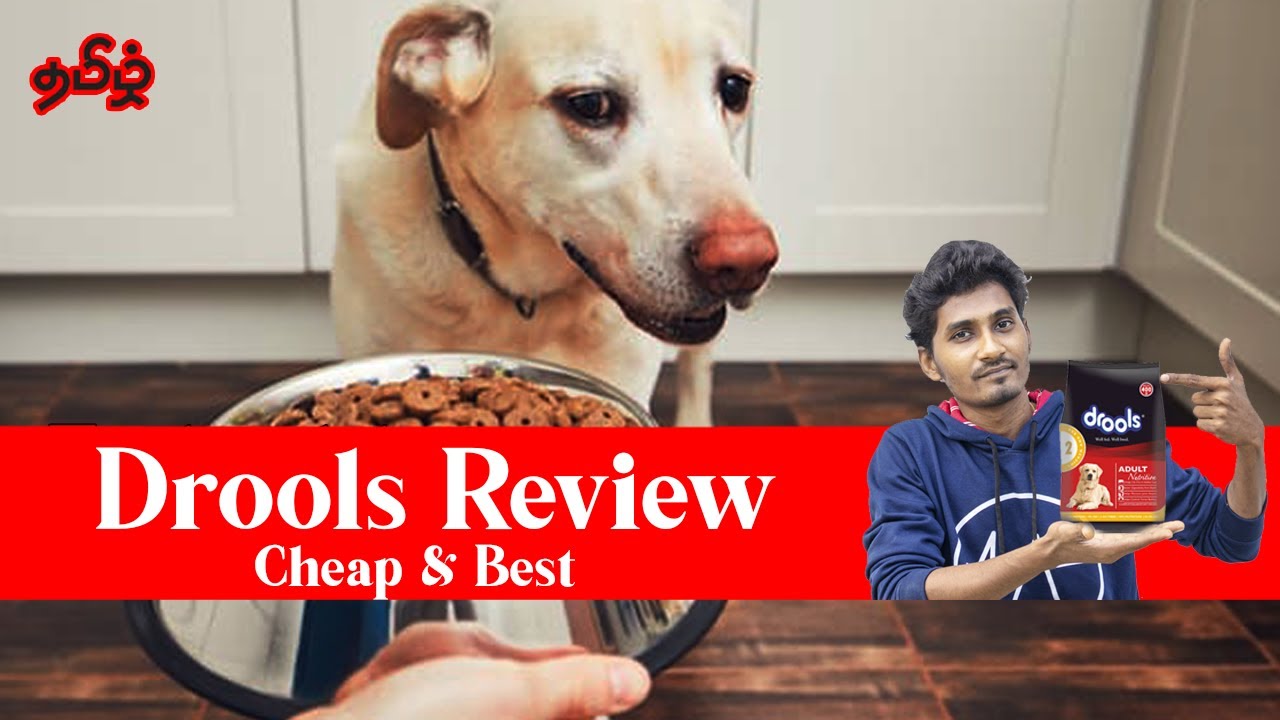 Drools Adult Food Full Review  in Tamil