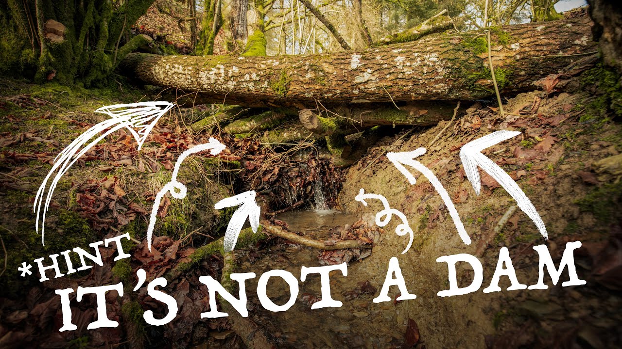 What is a Leaky Dam & how do you make one?