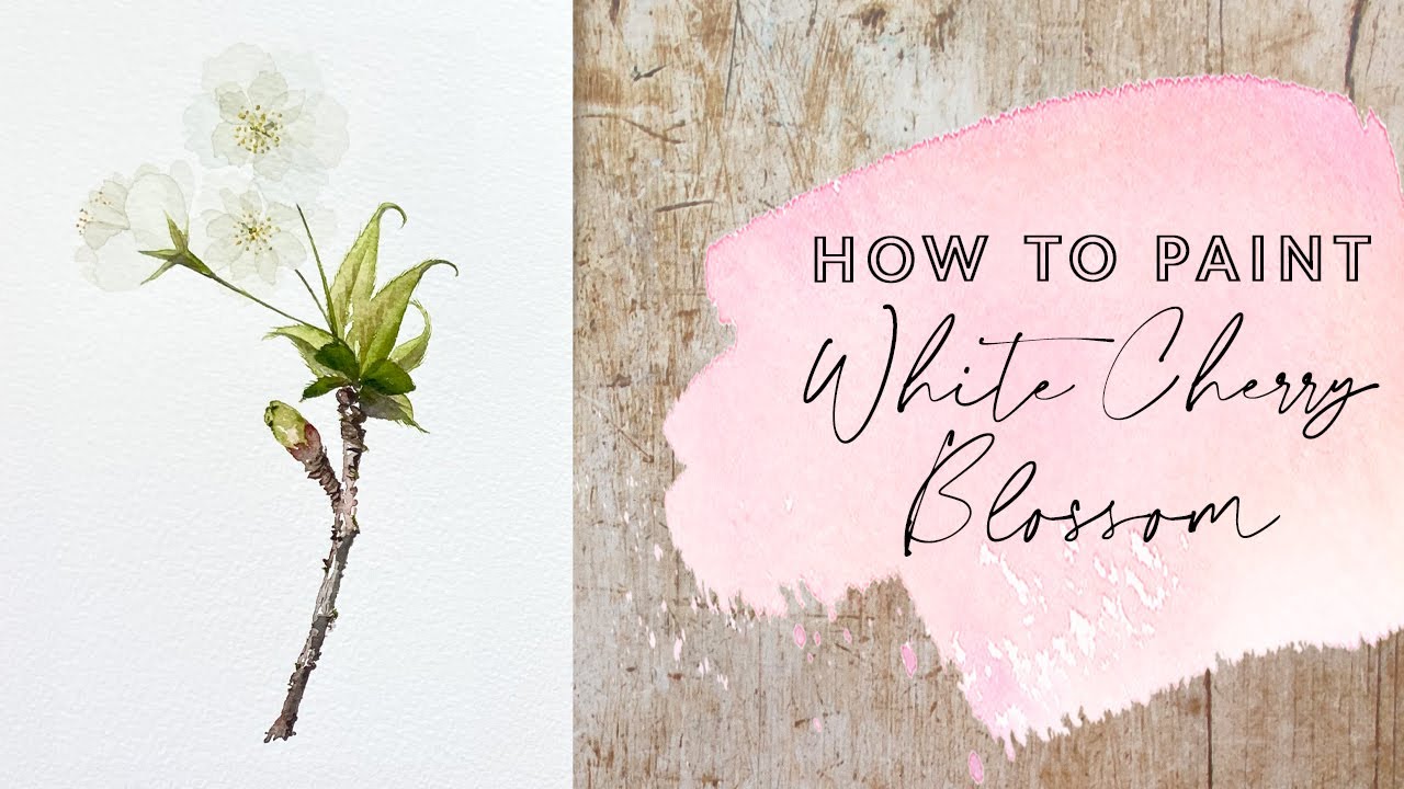 How to Paint White Cherry Blossom