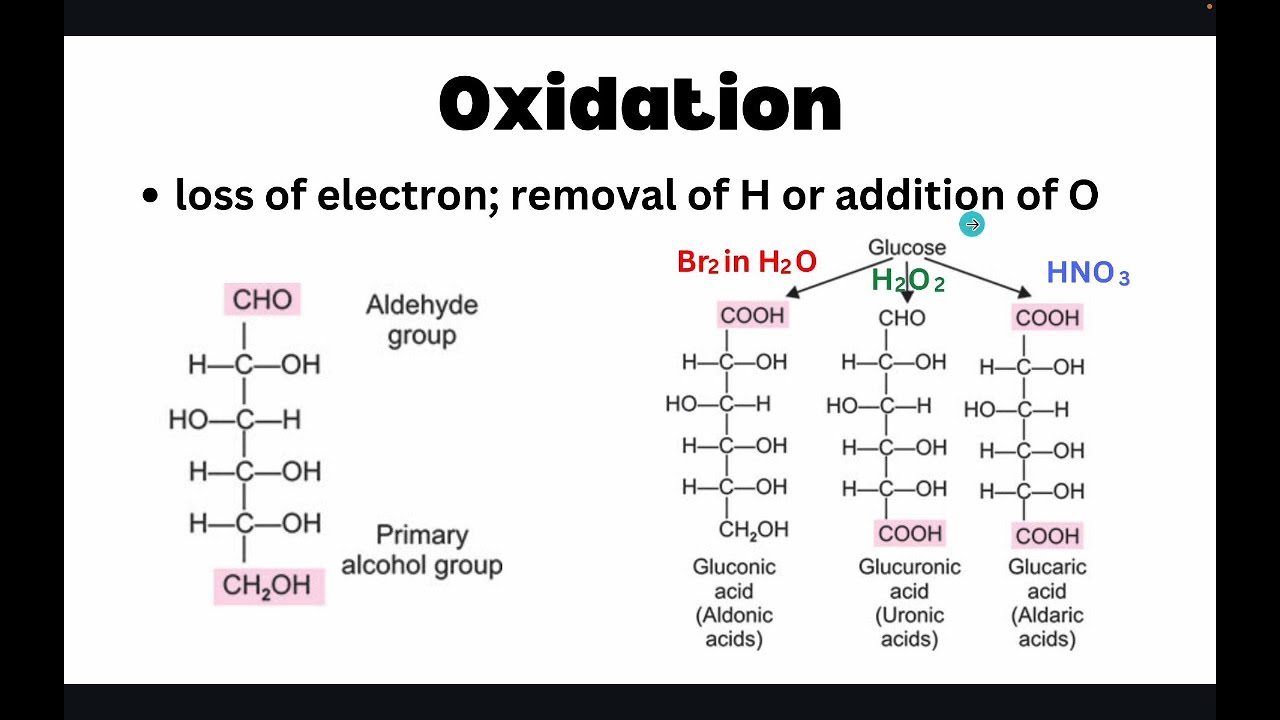 Reactions of Monosaccharides | Disaccharides, Oligosaccharides, Polysaccharides