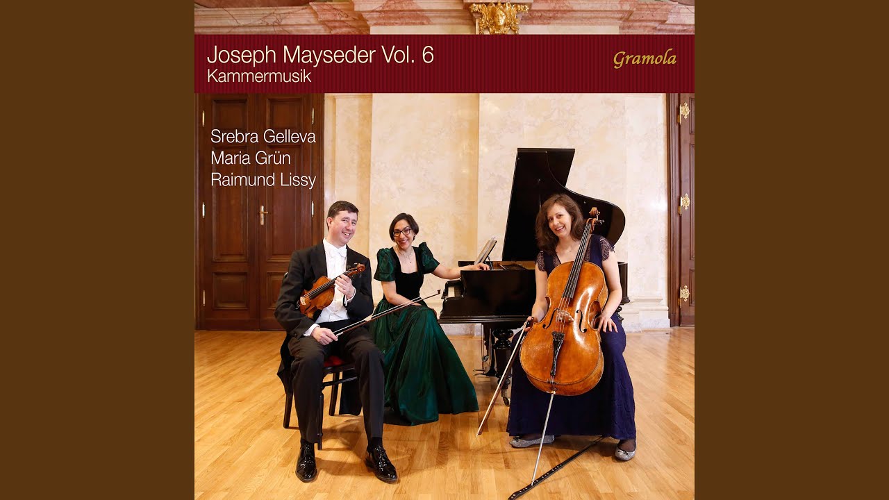 Piano Trio No. 1 in B-Flat Major, Op. 34: I. Allegro
