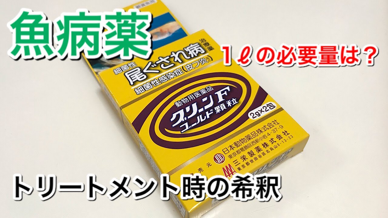 魚病薬　トリートメント時の希釈（グリーンFゴールド顆粒）