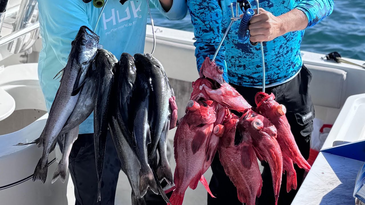 All Day on the Ocean for Blackcod (Was It Worth It?)