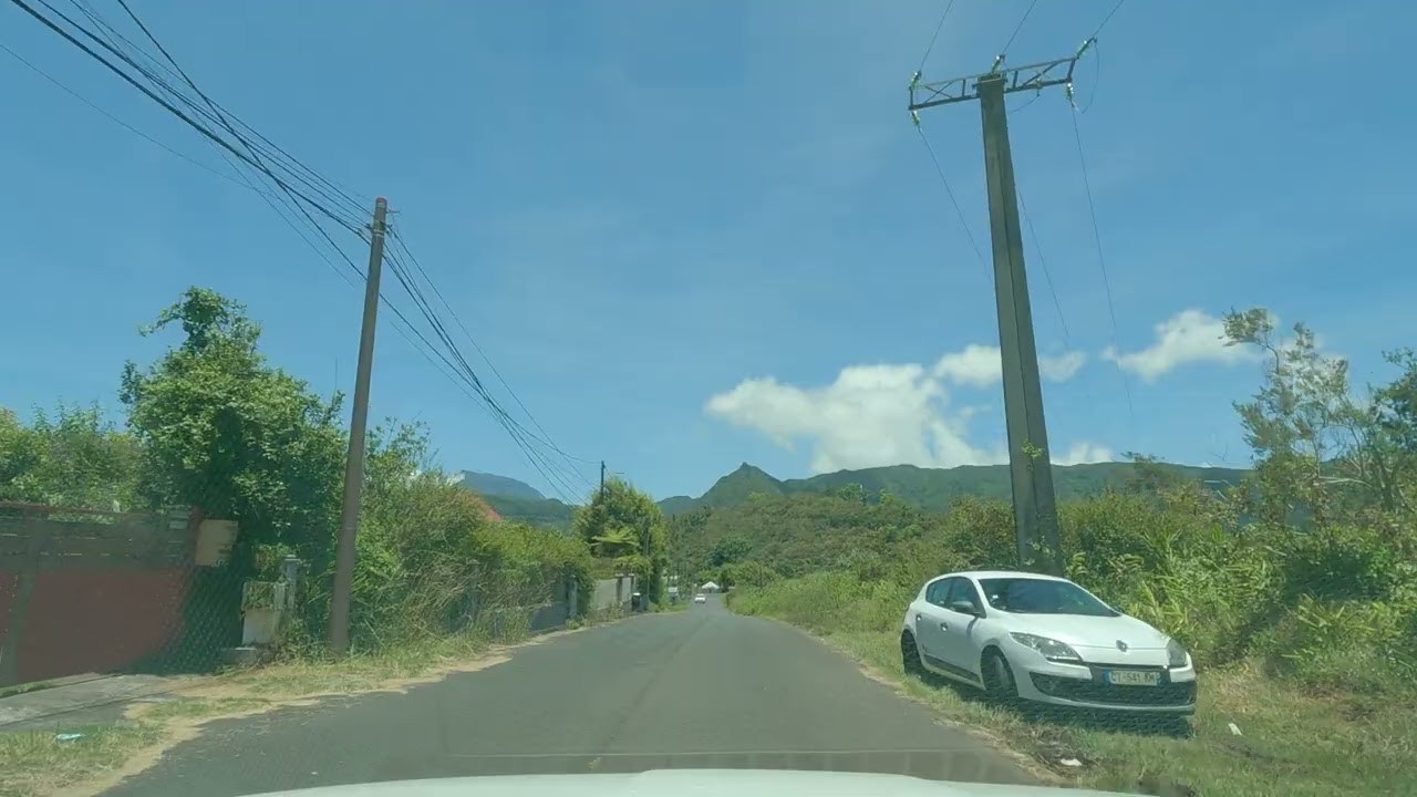 Île de la Réunion, La Plaine des Palmistes ,Janvier 2026 (2)