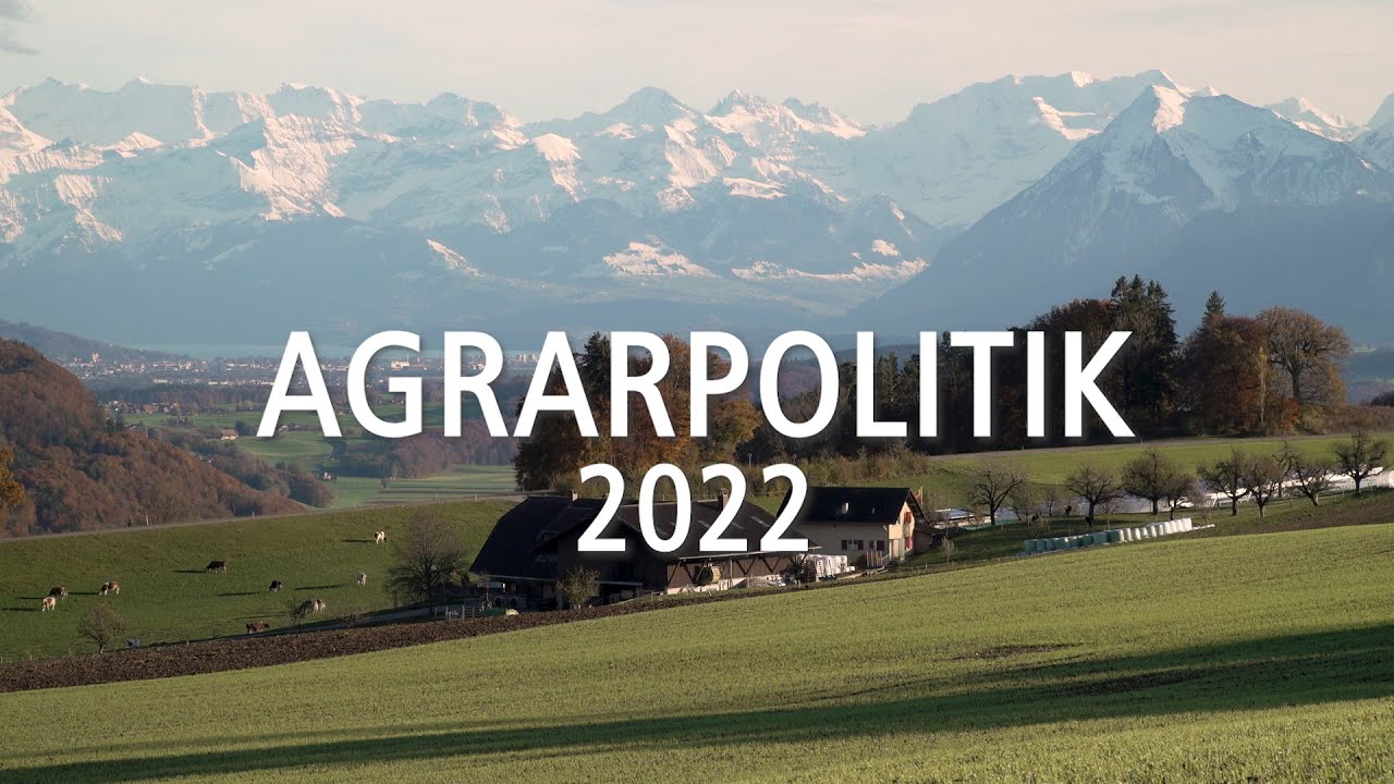 Was bedeutet die Agrarpolitik 2022 für die Schweizer Bauern?