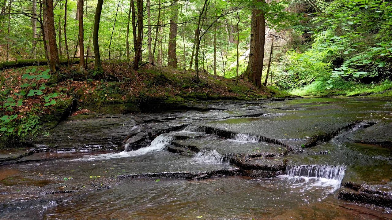 4K Tranquil Creek in a Lush Upstate Forest | Nature Ambience for Sleep, Meditation & Relaxation