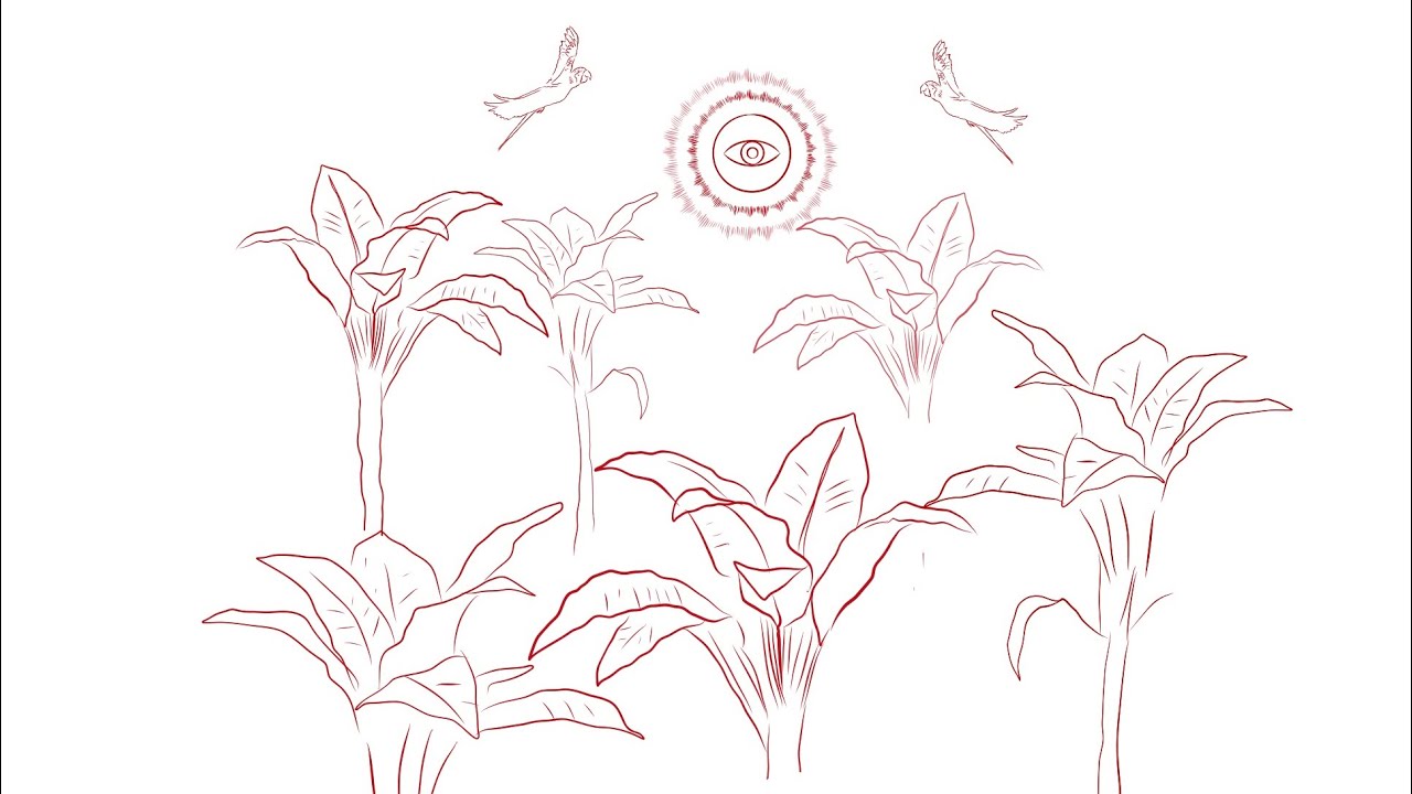 Francesco Pariset - Luz Y Viento (Visualizer)