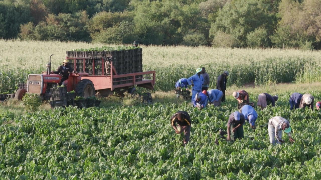 ‘Rehab’ or Free Labor?!