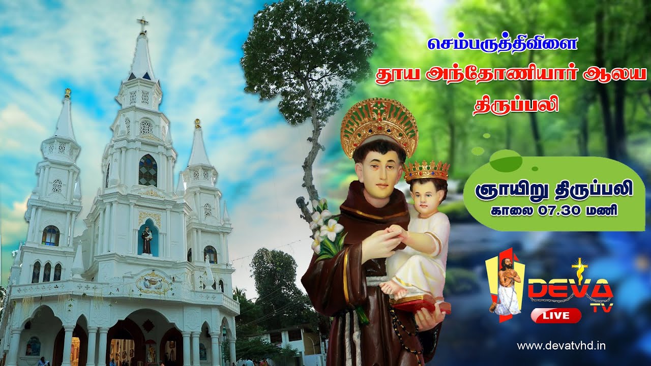 செம்பருத்திவிளை தூய அந்தோணியார் ஆலய ஞாயிறு திருப்பலி 15.03.2026