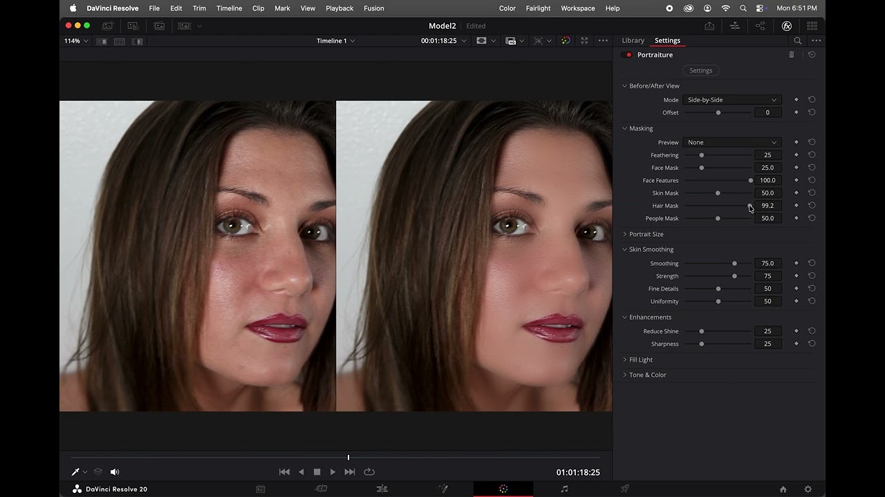 How to use Portraiture AI Mask in DaVinci Resolve (or Premiere Pro and Final Cut Pro)